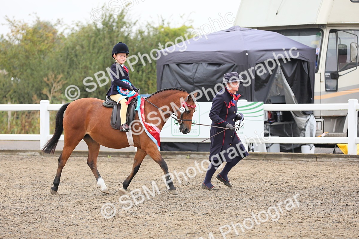 SBM_21901 - Class 806 - Young ridder 10 Yr & Under
