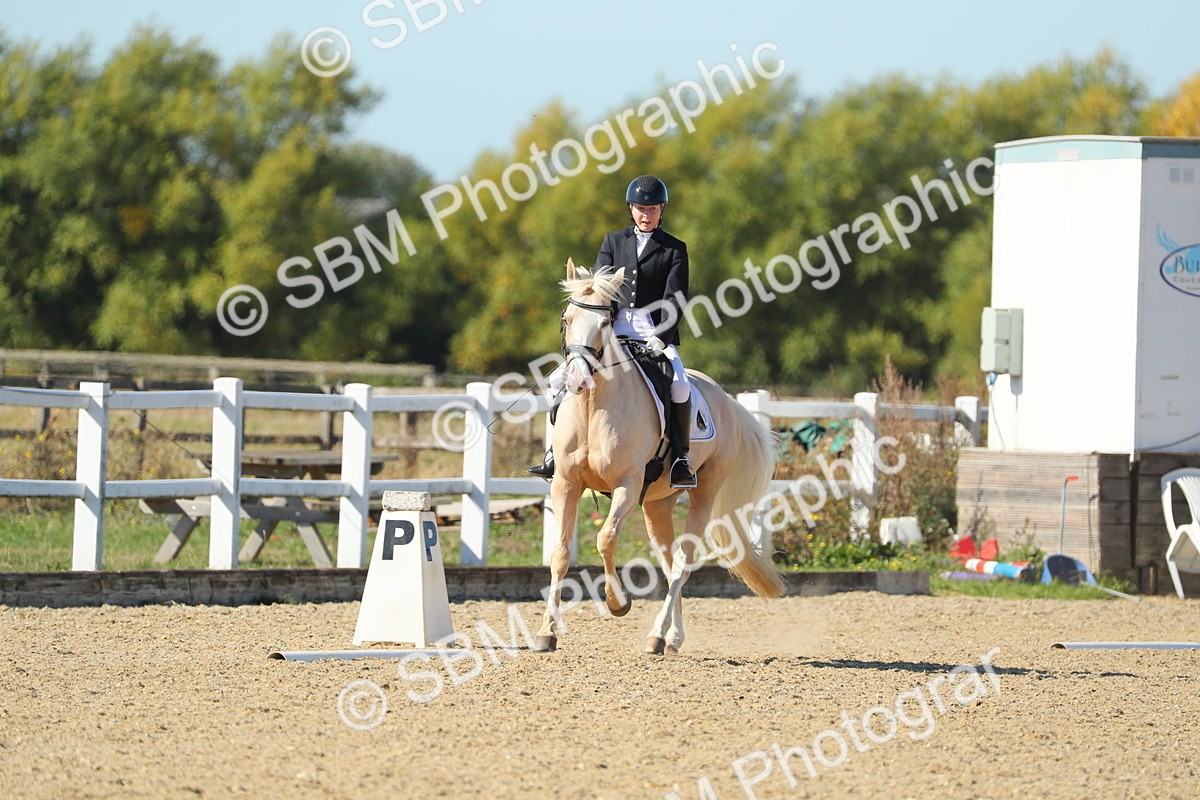 SBM_001356 - Class 5 - N5