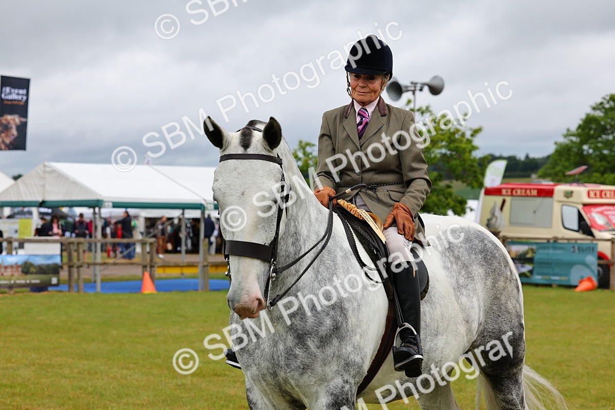 SBM_02561 - Class 9-11 Side Saddle including LIHS Rising Star Ladies Show Horse