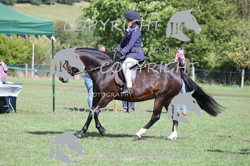 APP_3566 - Class 12 M&M ridden