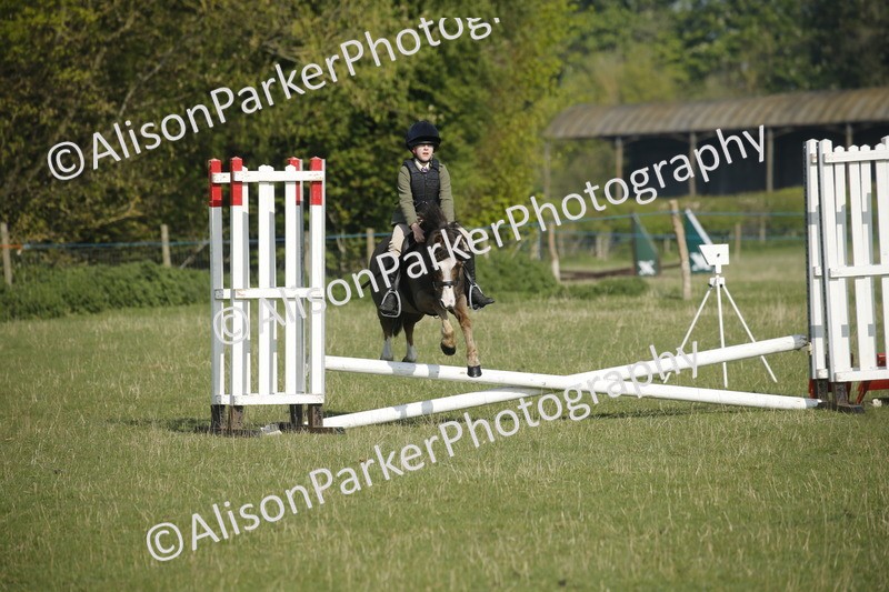 20250427-0265 - Class 12 - Rookie Jumping 40cm