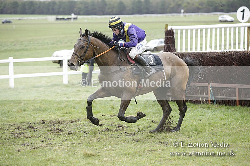 PtP 150320 0243 - New Forest Point-to-Point Larkhill 15/03/20