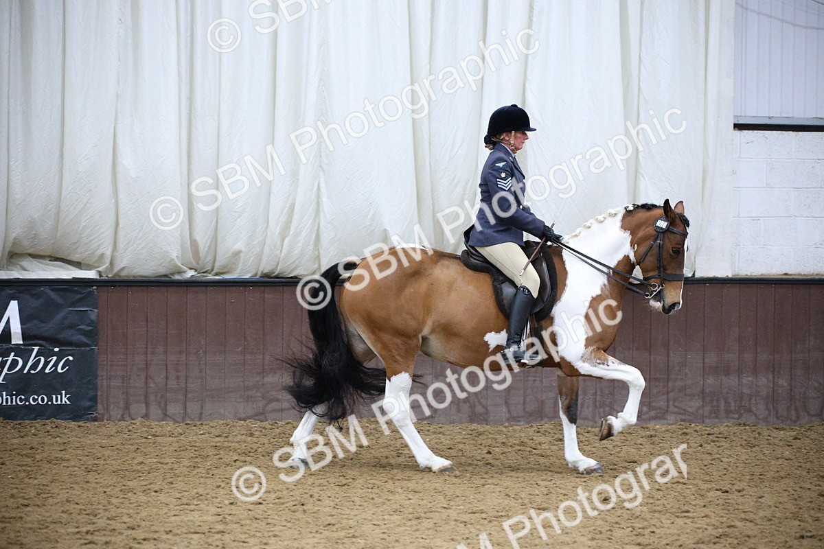 5K7A6074 - Class 48 - Ridden Mare