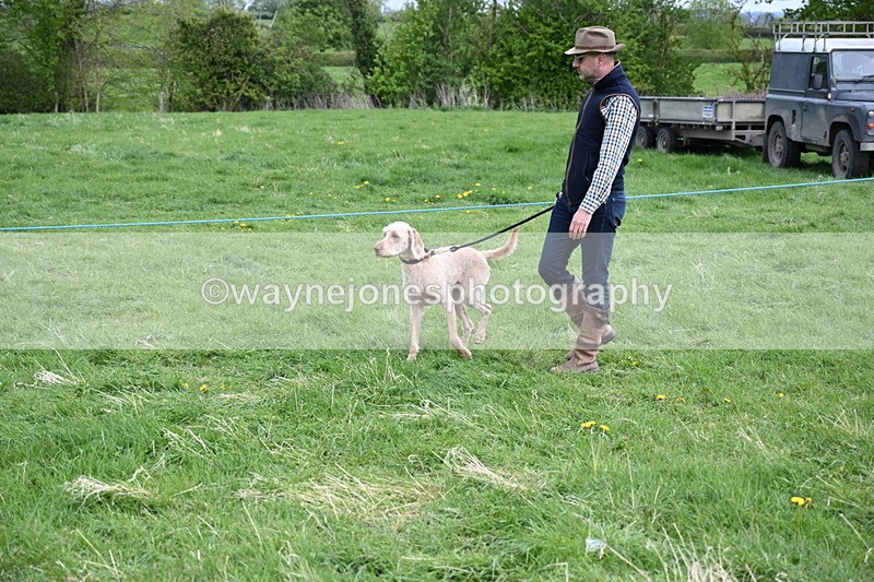 WJ6_8104 - Class 2 Best Pedigree