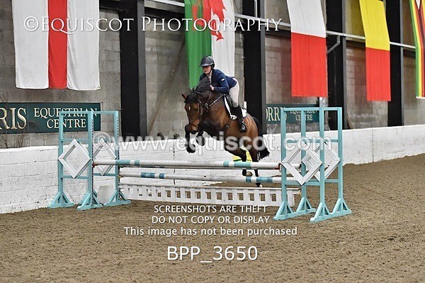 BPP_3650 - FRI CLASS 21 BR NOVICE/90CM