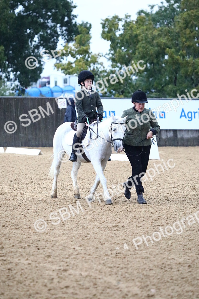 SBM_34604 - D26 - Starters Lead Rein