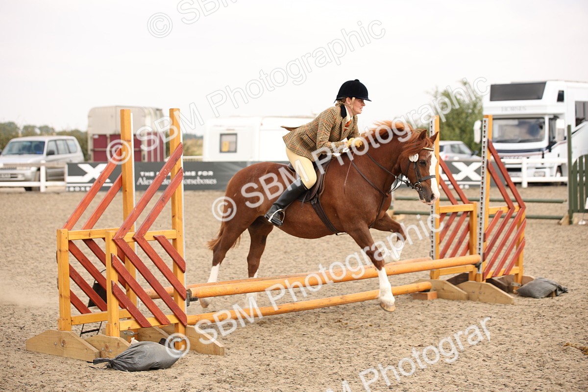 SBM_12265 - Class 405a - M&M Working Veteran 50cm (15-19)