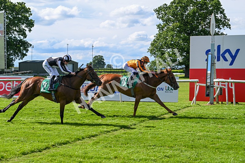 160624-Race 3-Mereside Diva-8537 - Race 3