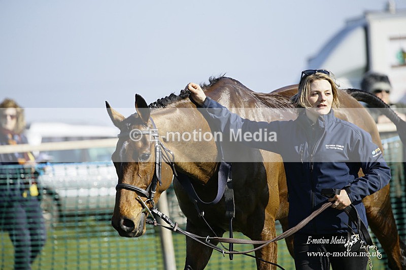 PtP 190322 620 - Wilton Hunt PtP Milborne St Andrew 19/03/22