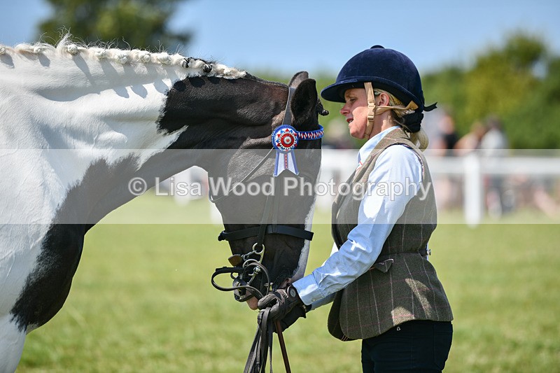 DSC_7840 - Class 65: Coloured Horse 4yrs & Over