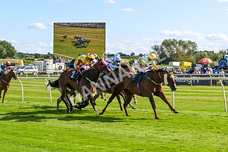 060824-Race 5-Jamih-2950 - Race 5