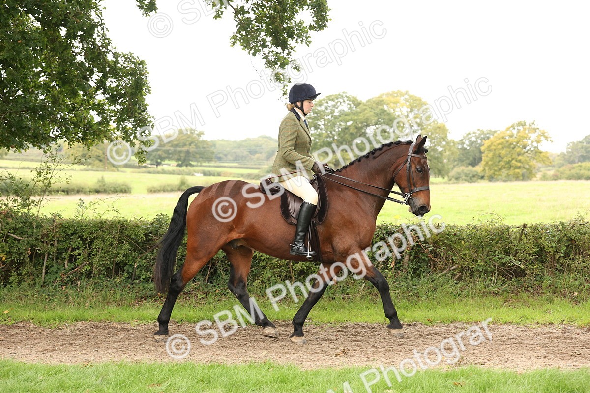 SBM_66285 - S66 - Hunter Ridden