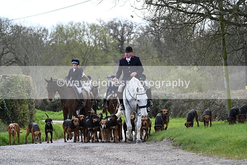 WJ7_9782 - Walk Home