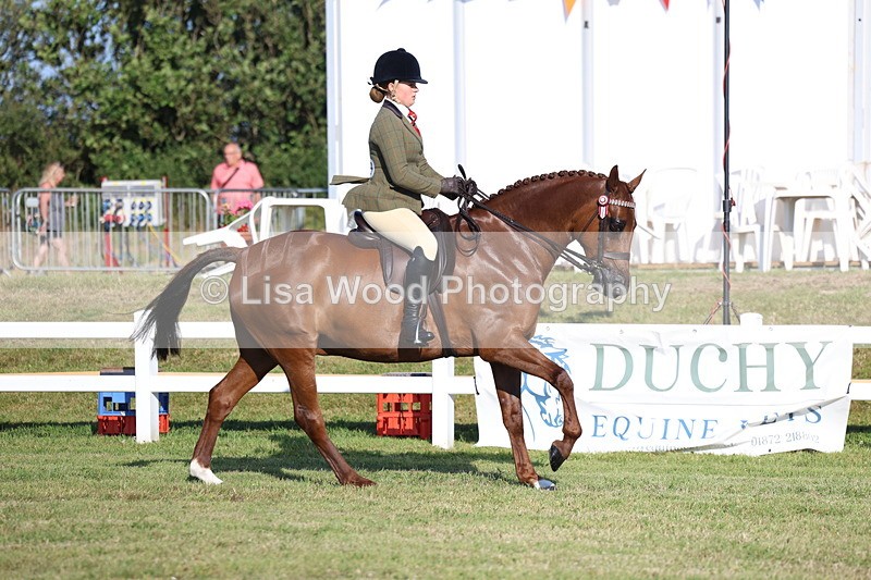 3E7A4965 - Class 1: Rising Star Small Hack/Riding Horses