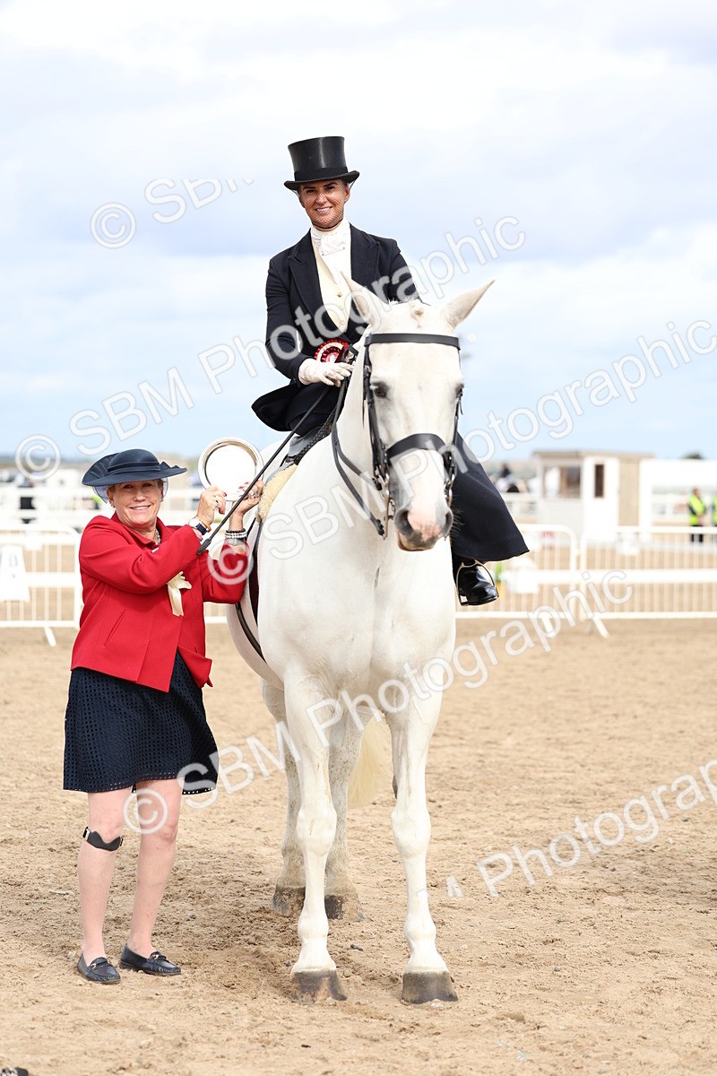 SBM_03471 - Class 24 - SSA Concours d'elegance (any age)