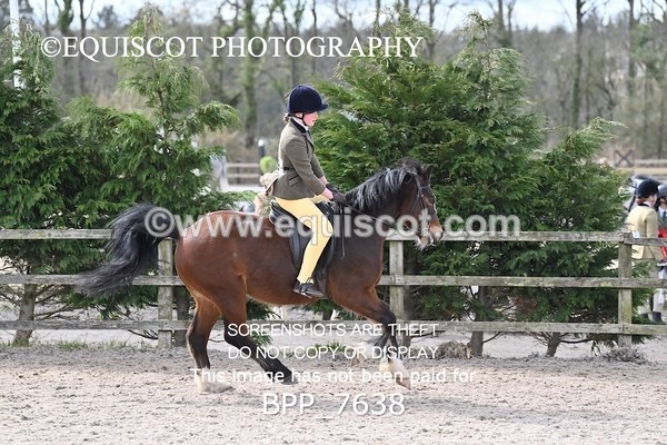 BPP_7638 - RING 1  (RIDDEN HORSES / IN HAND / VETERAN ETC)