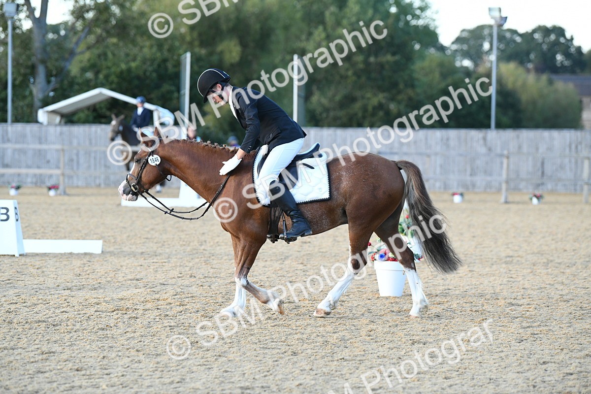 SBM_31021 - D16 - Small Tour Championship - Novice 28