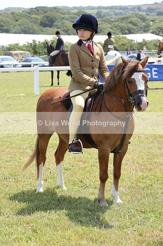 JPP_1858 - Class 18: Tiny Tots Working Hunter Pony