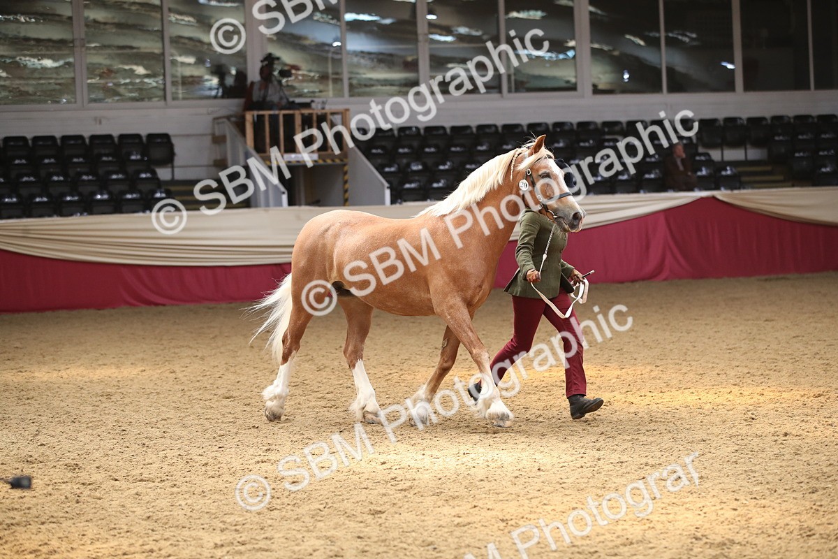 SBM_05347 - Class 8R - Regional IH Veteran