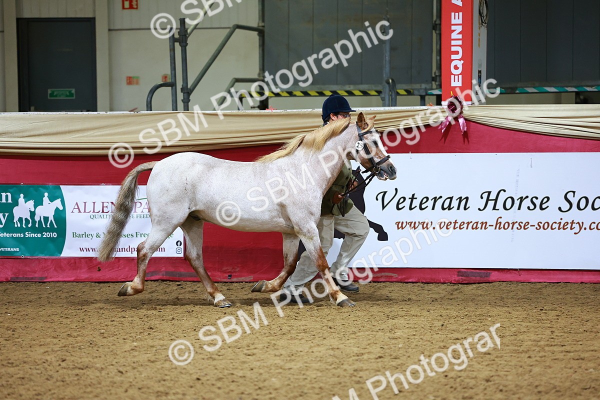 SBM_00247 - Class 1A - IH Diamond