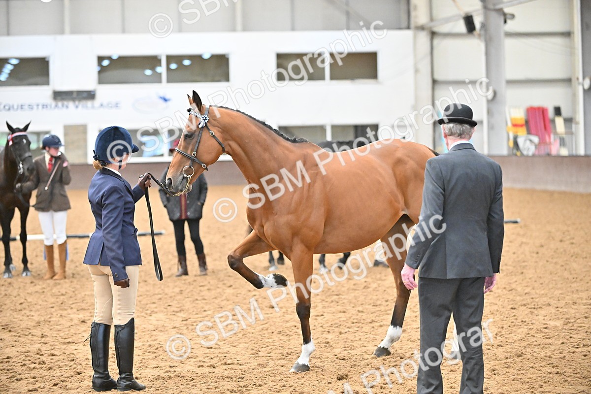 SBM_000248 - Class 7 - ROR Tattersalls In Hand
