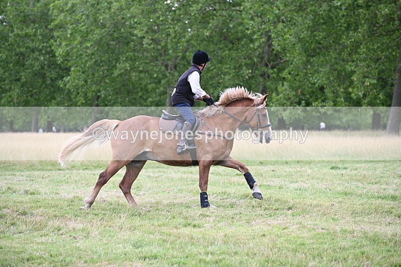 WJ6_4979 - Time at Jump 13:04 to 13:34