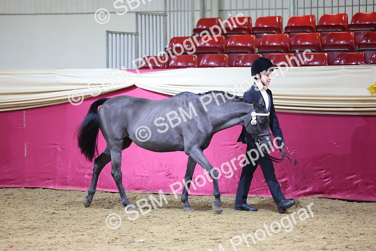 SBM_18538 - Class B Junior Champ 11-16 years