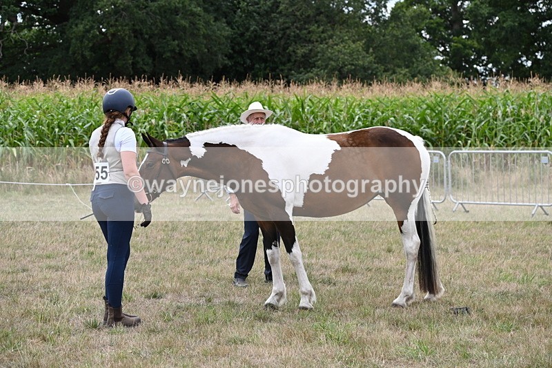 WJ6_5588 - Class 18 In-hand Coloured