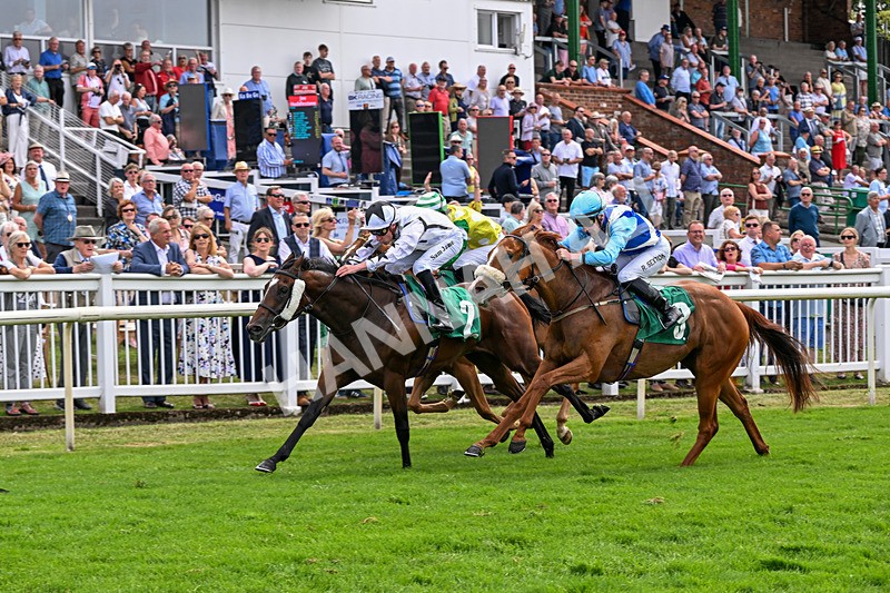 010726-Race 5-Saucy Jane-8488 - Race 5 15.10pm David Lever Memorial Handicap