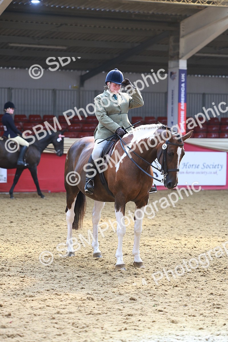 SBM_12640 - Class 103 - HOYS Veteran Qualifier - Ridden Pre Vet