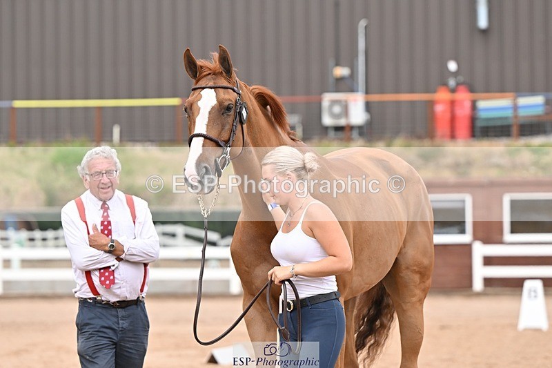 250716-163027-02653 - Trot Up 4.30 to 5.00