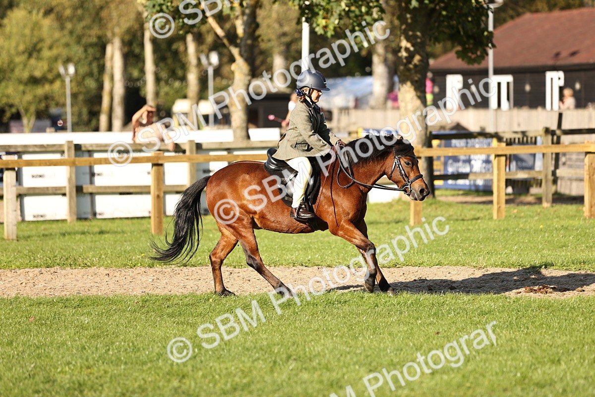 SBM_29435 - S7 - Novice & Newcomers Ridden Pony