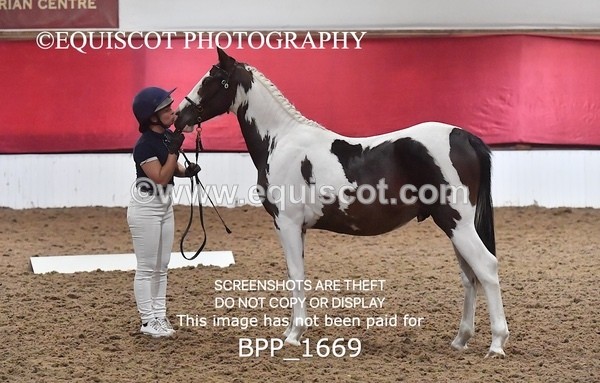 BPP_1669 - MORNING 9AM - 12PM