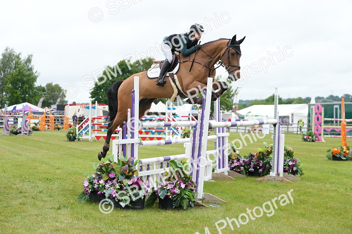 SBM_03476 - Class 201 - British Horse Feeds Speedi Beet Horse of the Year Show Grade  C