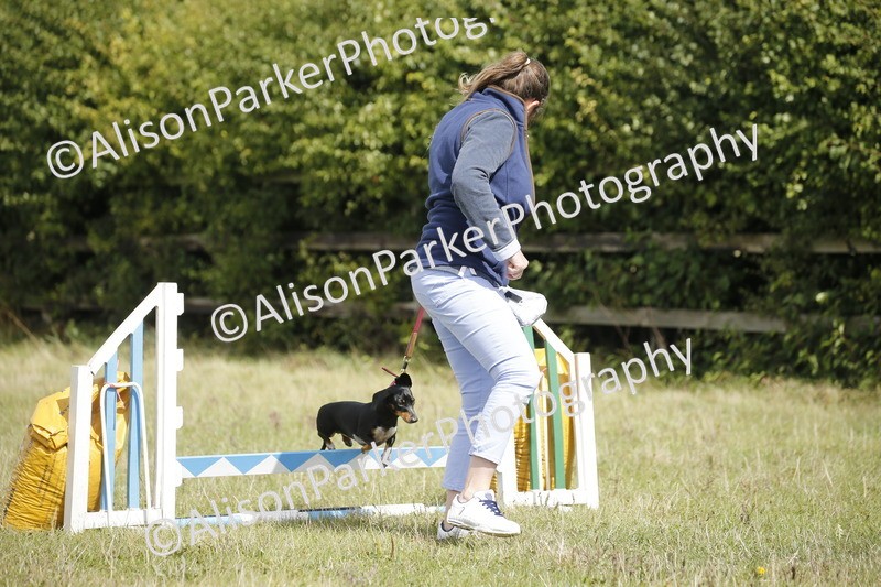 20250831-3839 - Dog Show