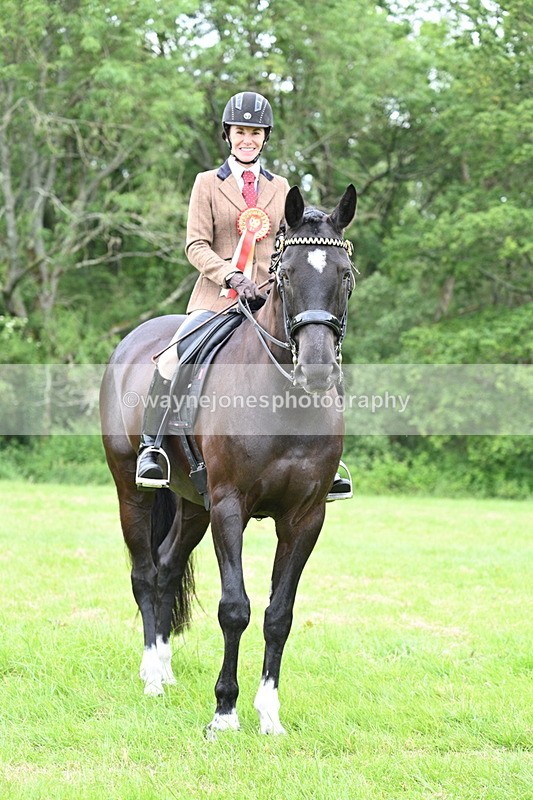 WJ7_4358 - Class 14A Handsome Gelding