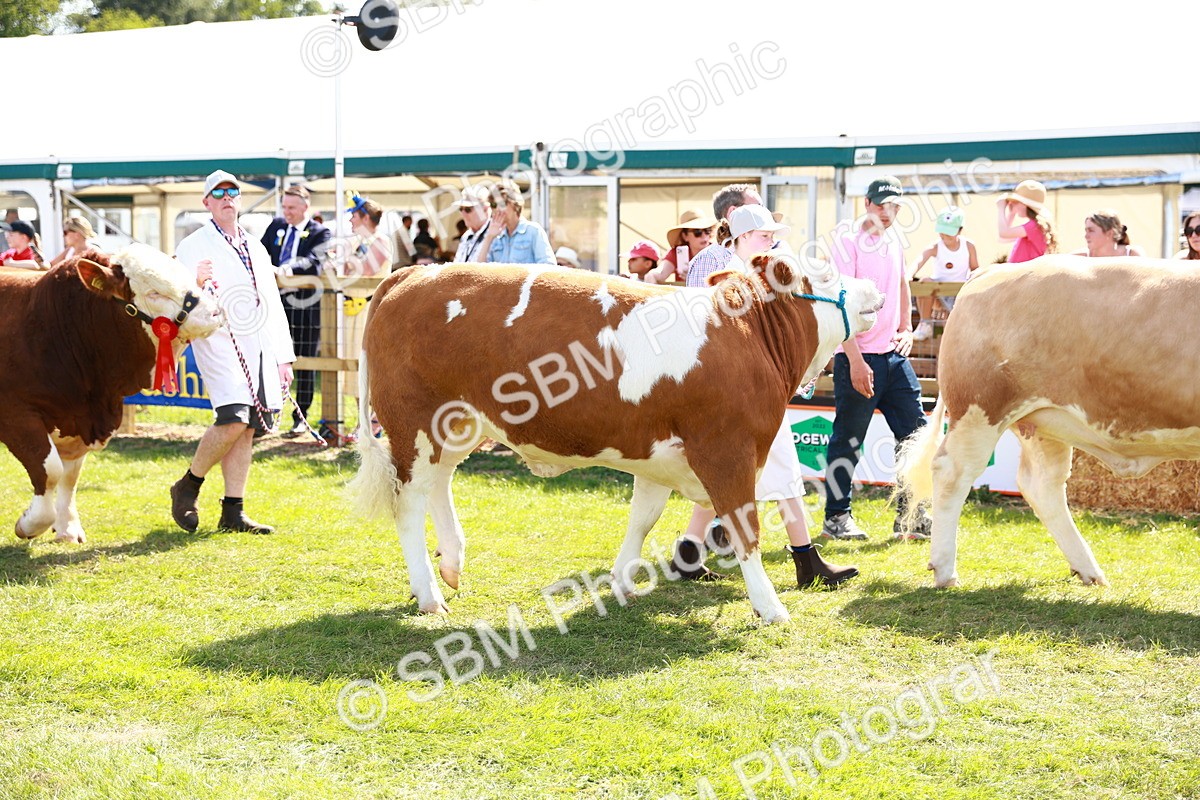SBM_08439 - Grand Parade