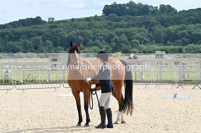 WJ7_8151 - Time 16:10 to 16:25