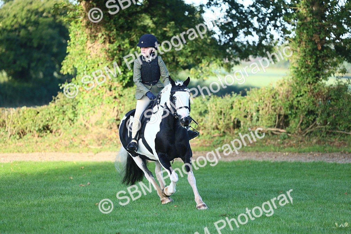 SBM_31742 - S28 - Nursery Stakes Working Hunter Pony
