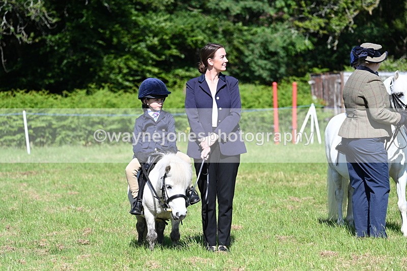WJ7_0404 - Class 8 First Rally Pony