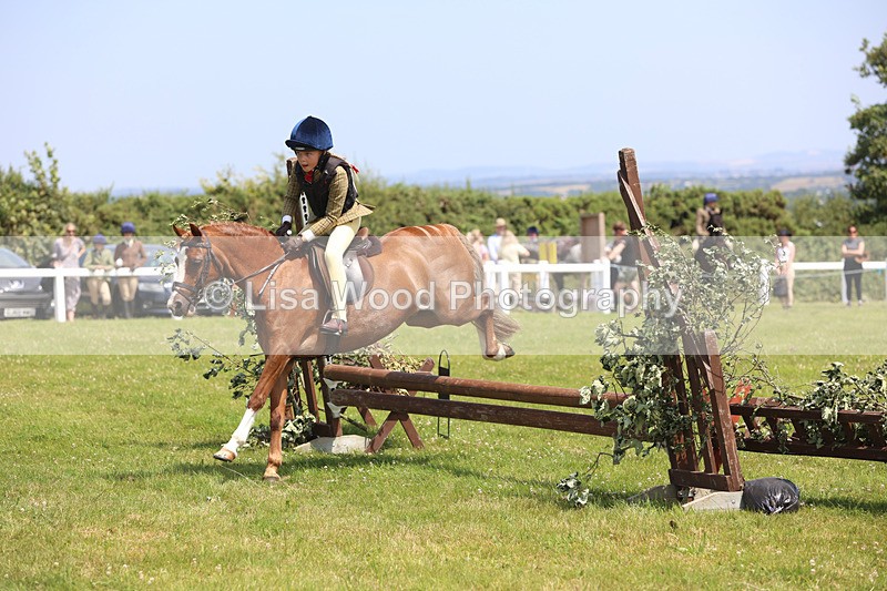 JPP_2510 - Class 21: Working Hunter 60cm