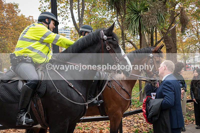 Z62_4478 - Animals In War Memorial 2025 - Park Lane, London