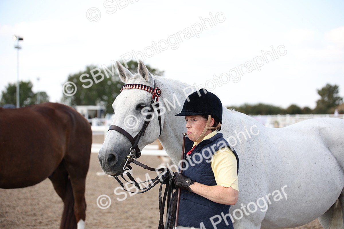 SBM_07116 - Class 25 IH Foreign Breeds- Pure bred