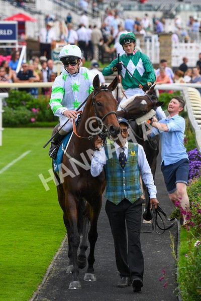 100923-Race 3-Yorkindness-0604 - Race 3 2.45pm Fine Details Vehicle Valeting Handicap