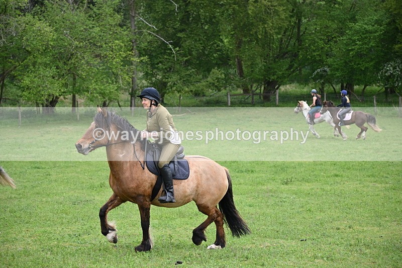 WJ6_3363 - A camera