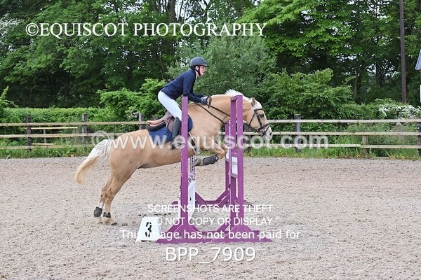 BPP_7909 - CLASS 8 SUN Club 70cms Open