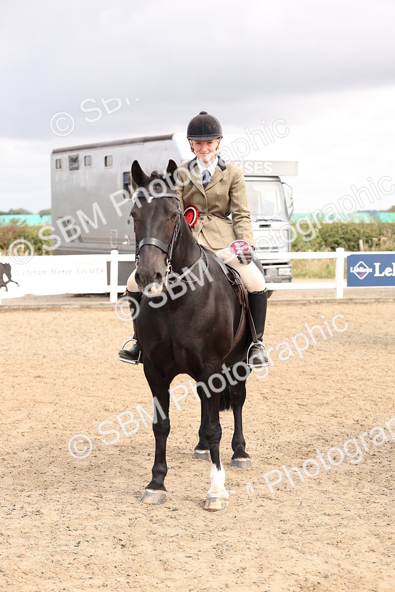 SBM_04303 - Class 54 - Riding Club Horse/Pony