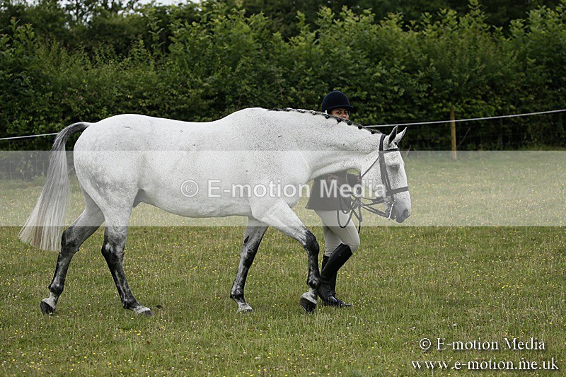 BVR160717-226 - Ring 2 BVRC Show 16/07/17