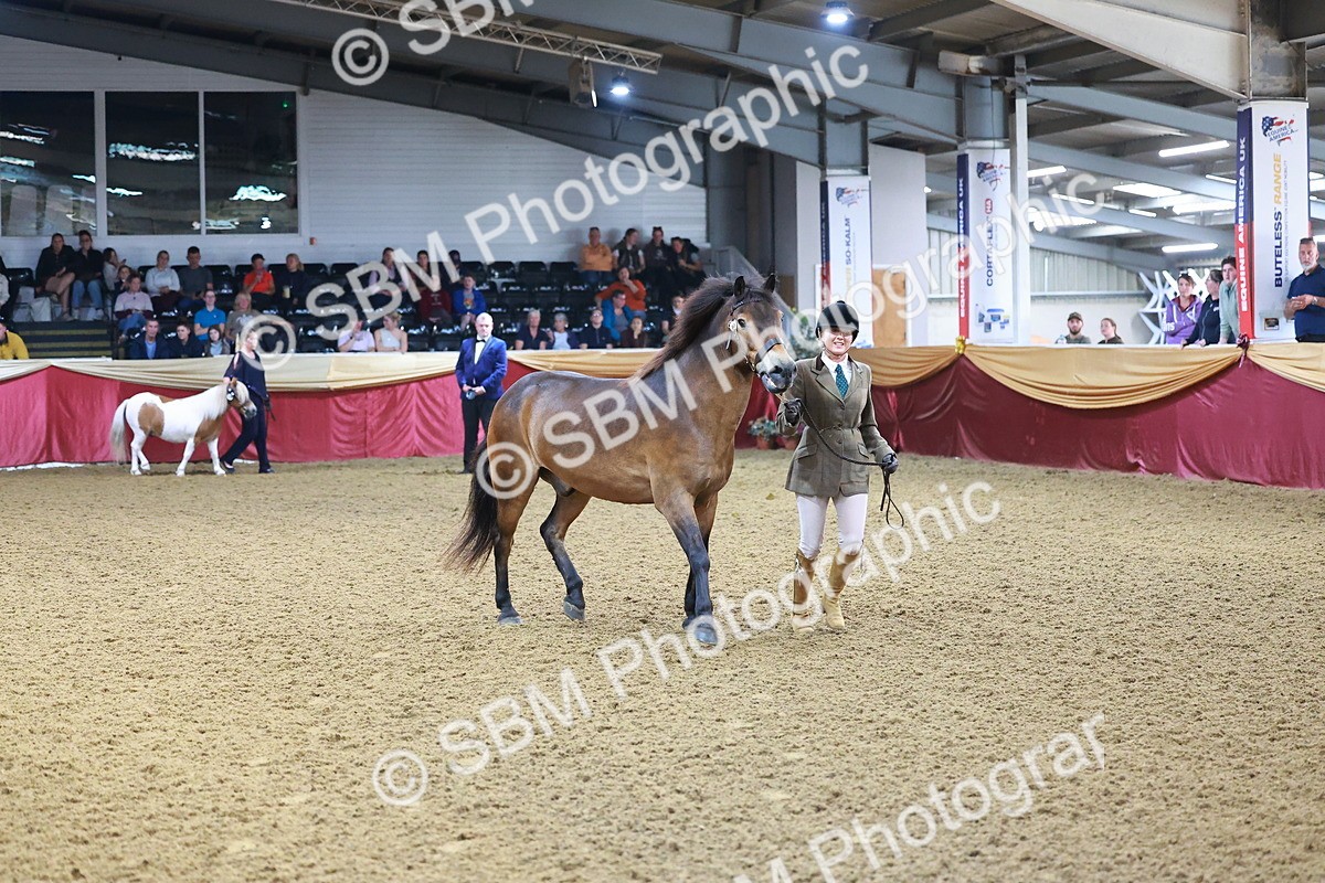 SBM_14719 - Class C - Novelty champ