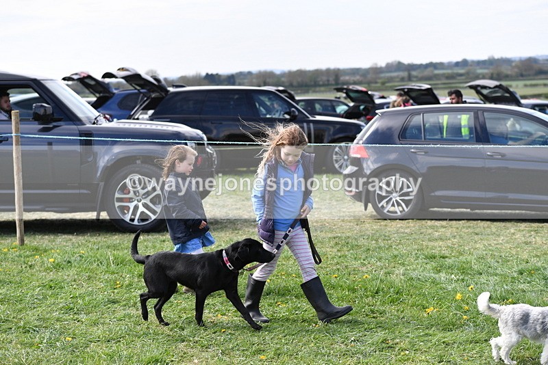 WJ5_0718 - Best in Show Championship